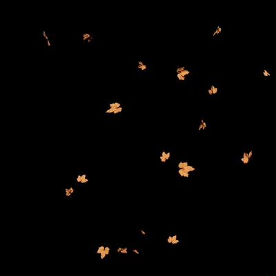 Leaves05 3d model