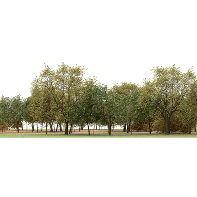 Autumn Trees 02 3d model