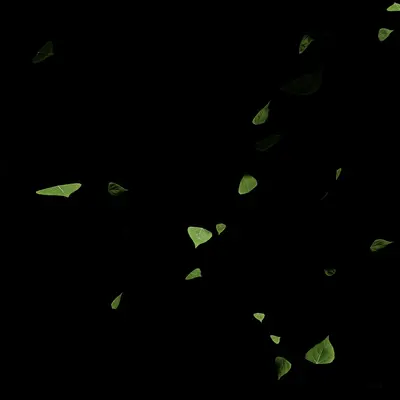 Custom Leaf 3d model
