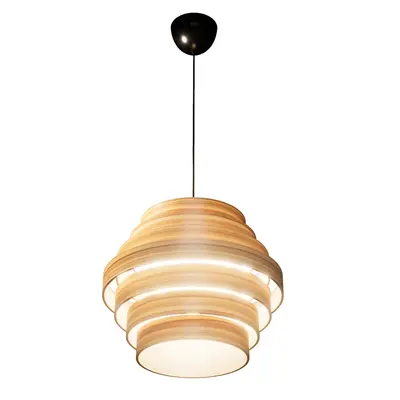 Layered Wooden Pendant Light 3d model