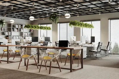 Modern Office Area