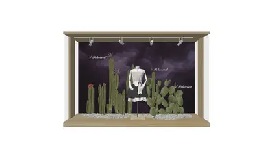 Modern Display Window