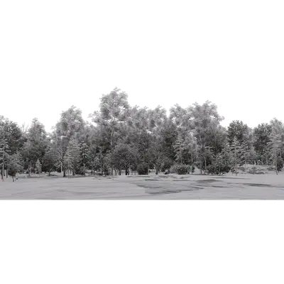 Winter Trees 01 3d model