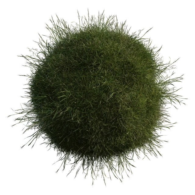 Realistic Wild Green Grass Material 3d model