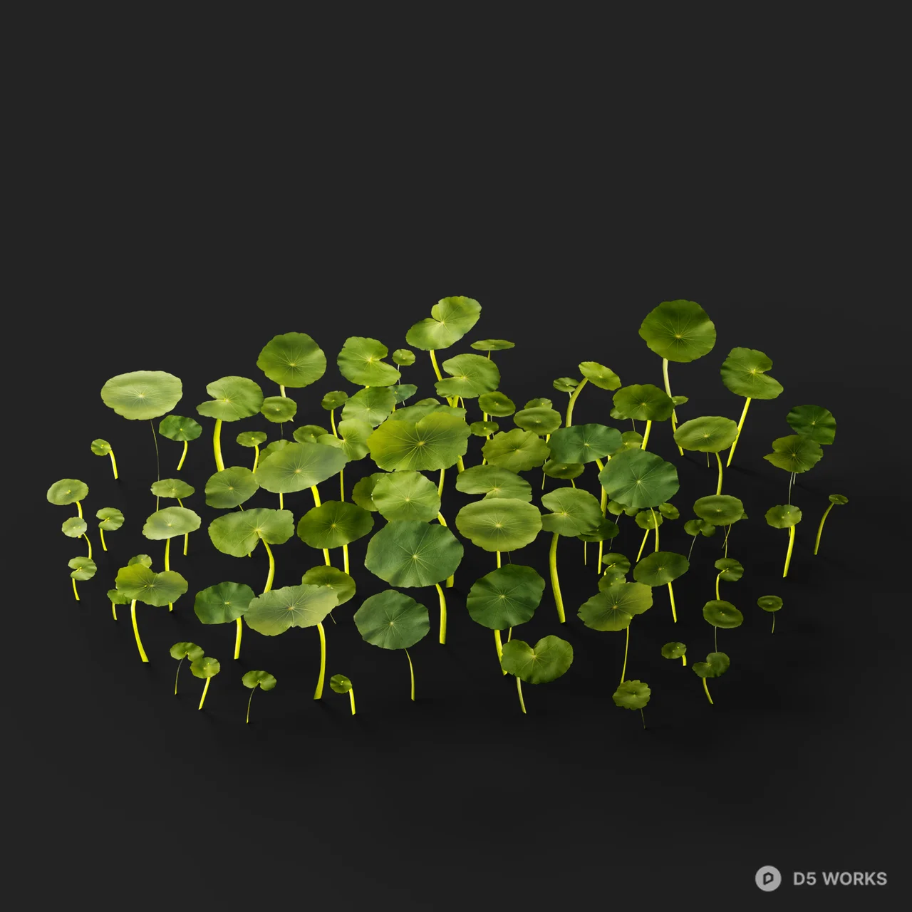 Realistic Hydrocotyle Vulgaris Pennywort Patch 3d model thumbnail 5