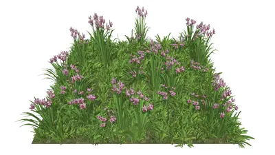 Flower & Grass Combination