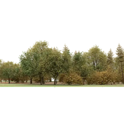 Autumn Trees 01 3d model