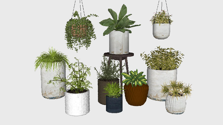 Modern Potted Plant