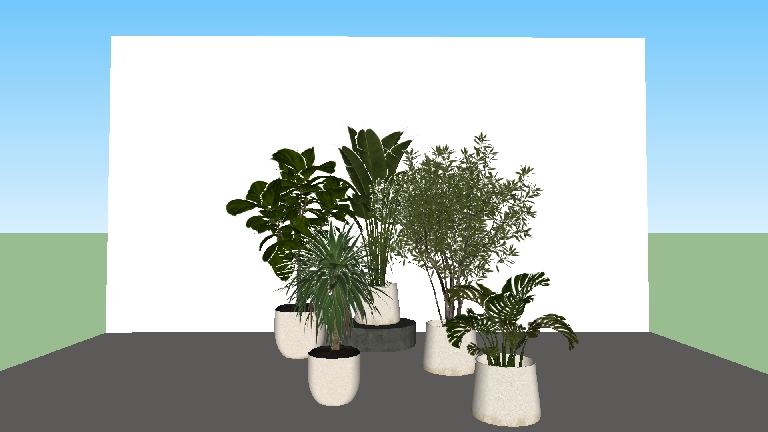Modern Potted Plant