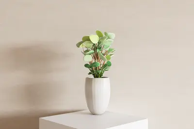 Potted Plant