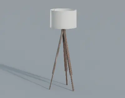 Mid-Century Modern Floor Lamp
