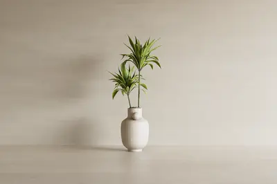 Potted Plant