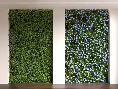 Modern Wall Surfaces