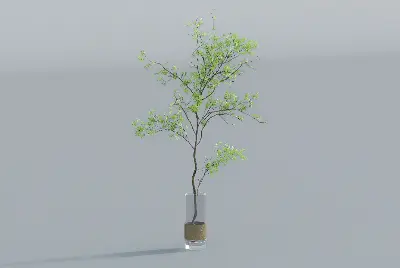 Modern Floral Arrangement