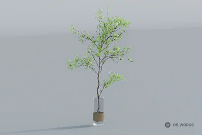 Minimalist Glass Vase With Green Branch 3d model - Image 1