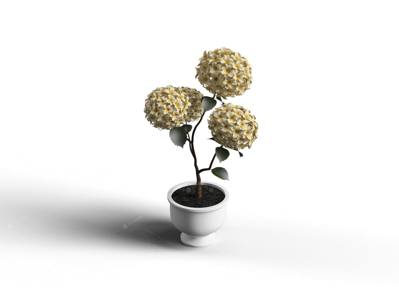Vases & Floral Arrangements 3D Models