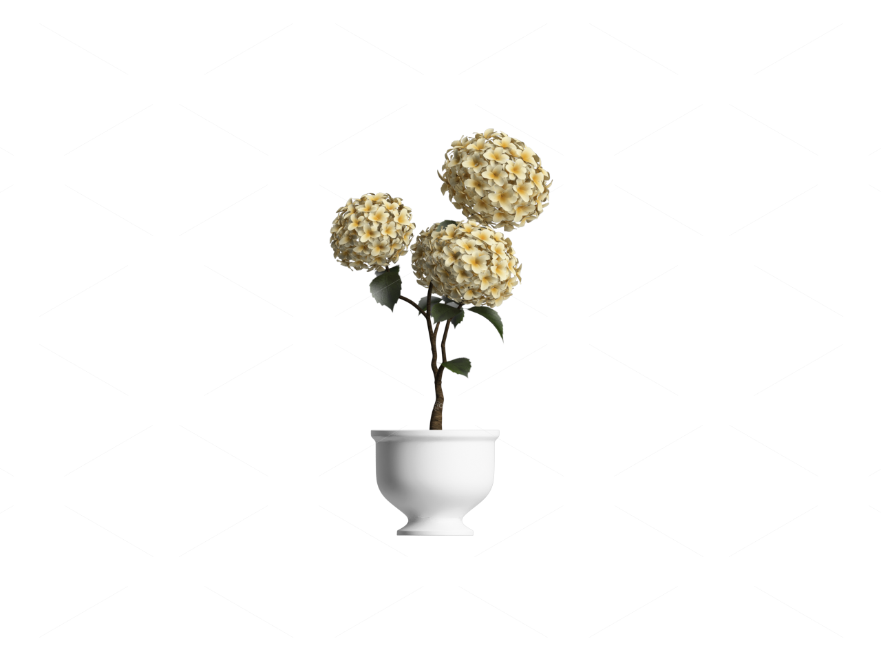 Vases & Floral Arrangements 3D Models 2