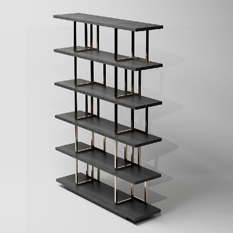 Modern Bookshelf