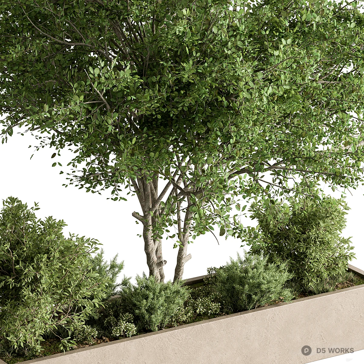 Rectangular Shrub Tree Rectangular Planter With Shrubs And Tree 3D Model .max