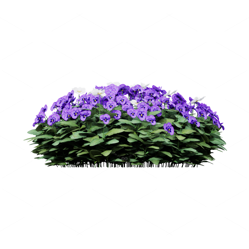 Flowers 3D Models