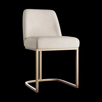 Velvet Upholstered Dining Chair With Gold Cantilever Frame 3d model