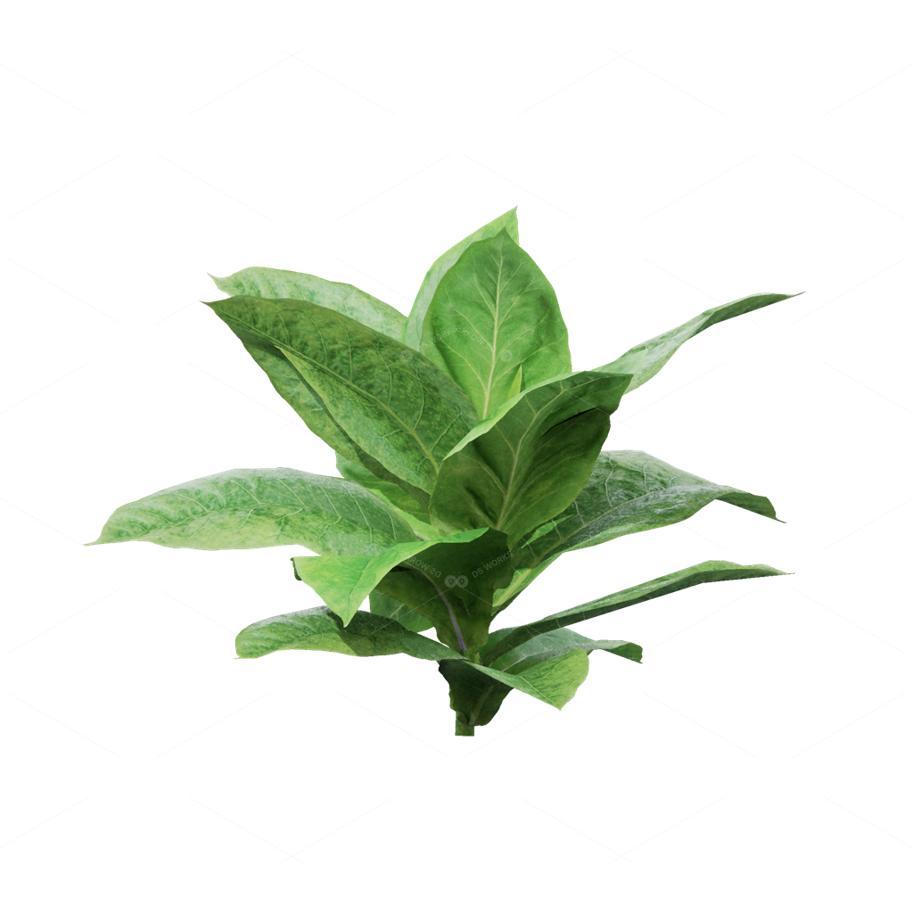 Crops 3D Models