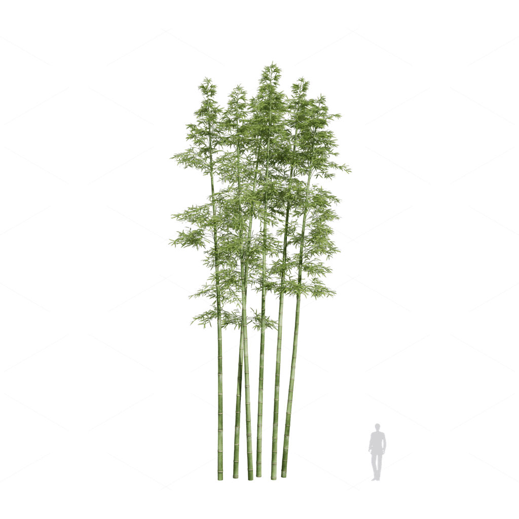 Other Botanicals 3D Models
