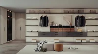 Modern Walk-in Closet