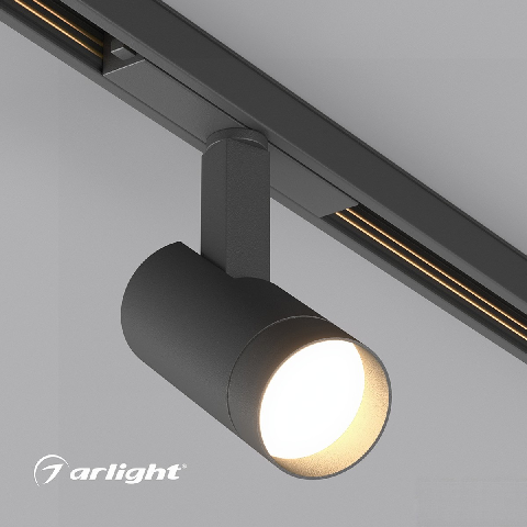 Modern Downlight & Spotlight