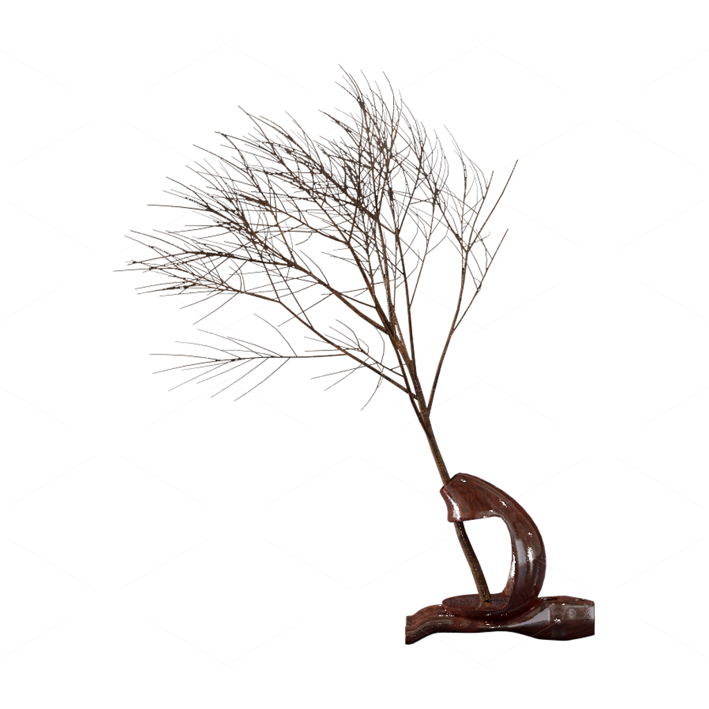 Vases & Floral Arrangements 3D Models