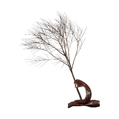 Floral Vase Design Plant