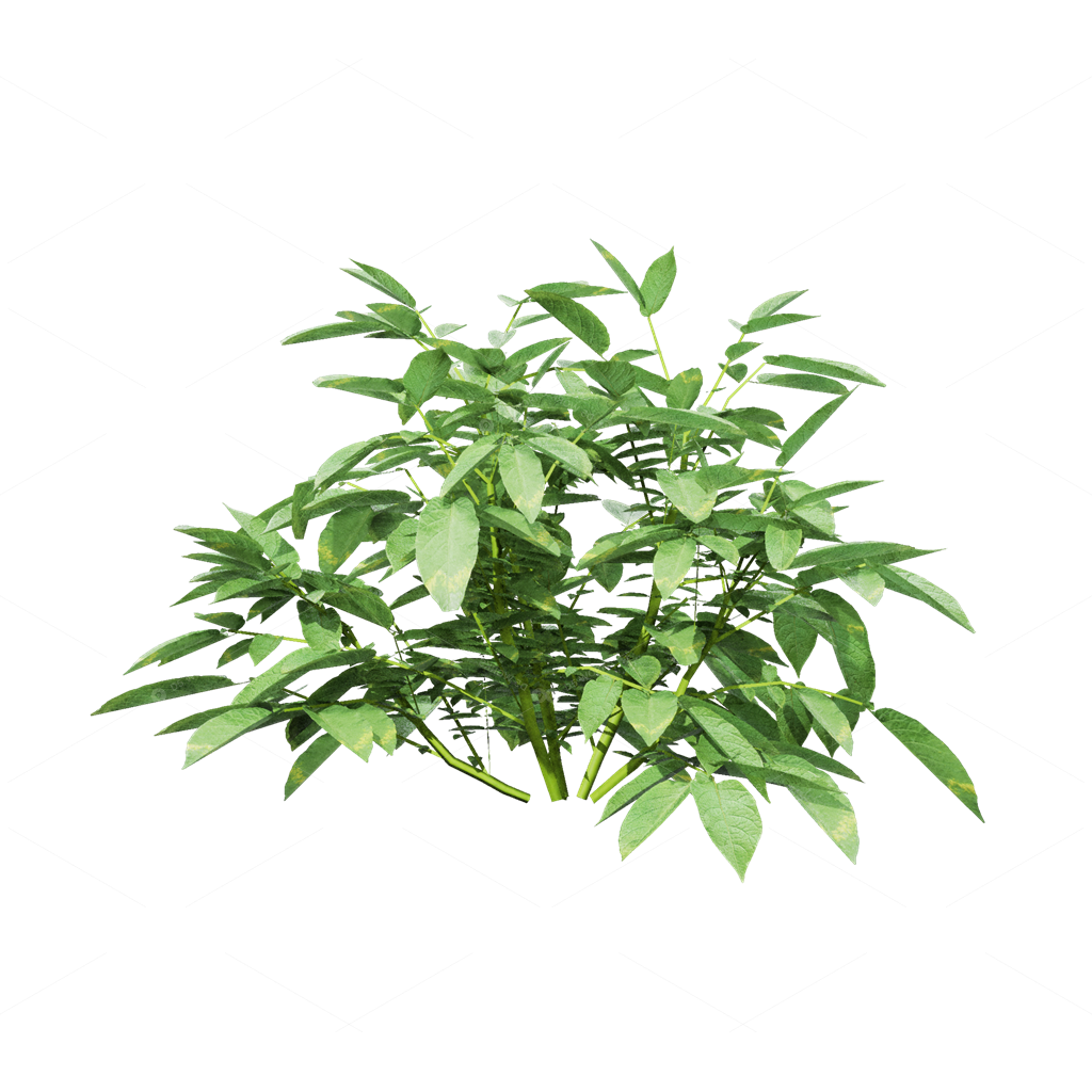 Crops 3D Models