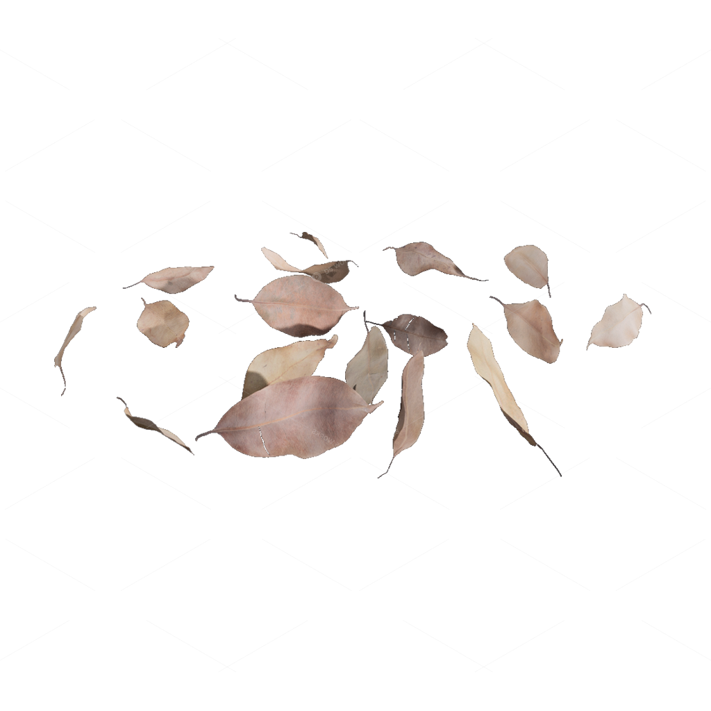 Other Botanicals 3D Models