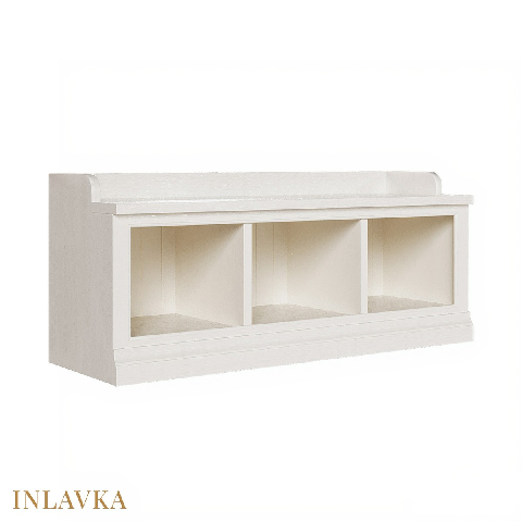 Modern Shoe Cabinet
