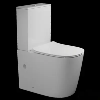Modern Toilet