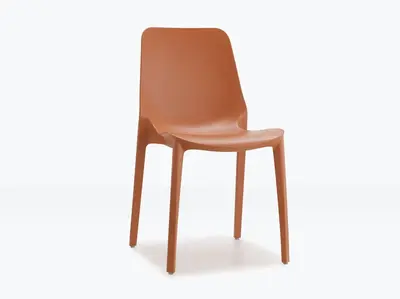 Modern Dining Chair