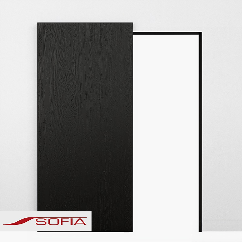 Modern Hidden Door