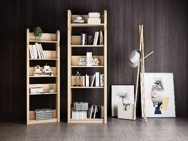 Modern Bookcase