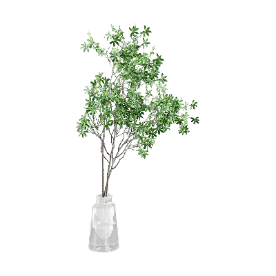 plant vase