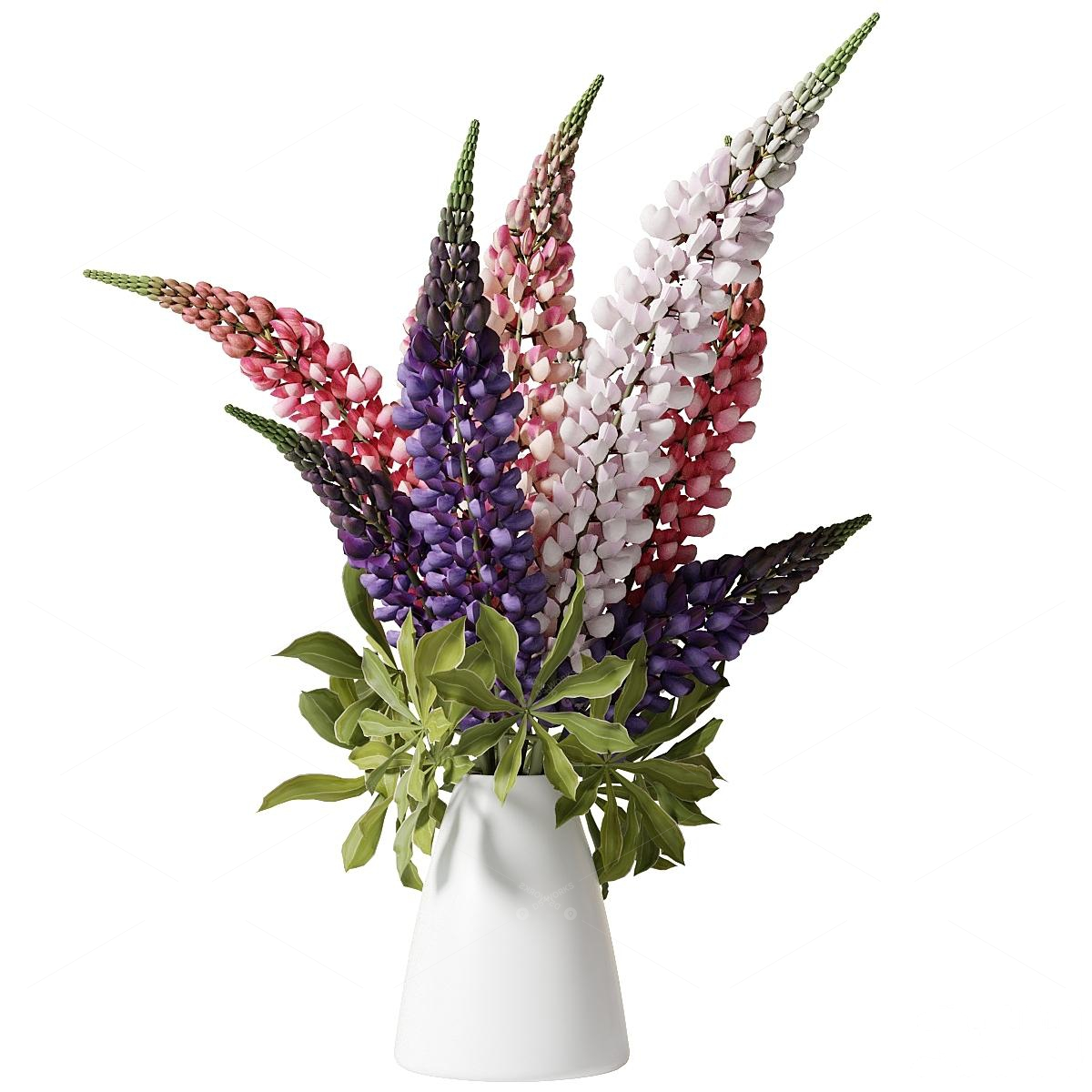 Vases & Floral Arrangements 3D Models 2