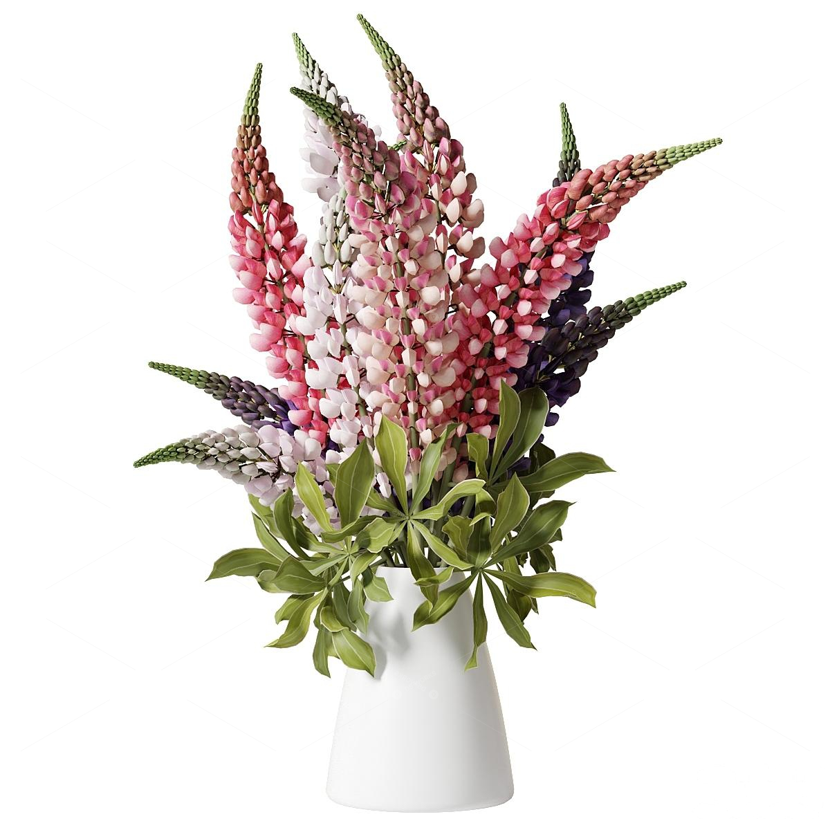 Vases & Floral Arrangements 3D Models