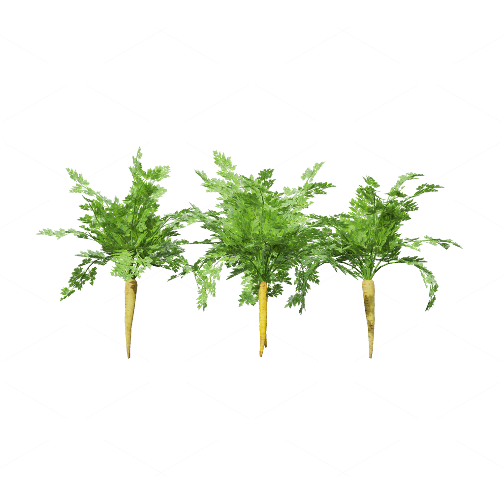 Crops 3D Models