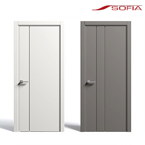 Modern Door Set