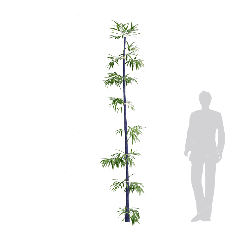 Other Botanicals 3D Models
