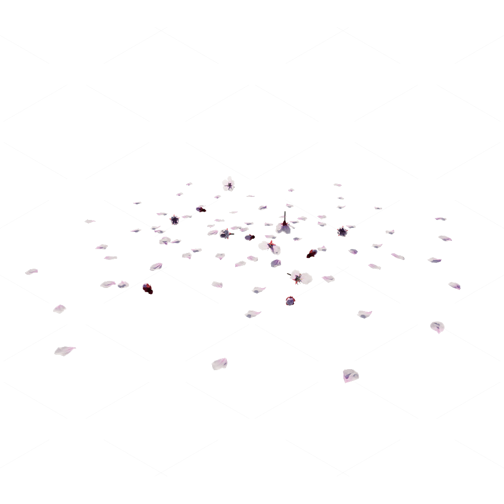 Other Botanicals 3D Models