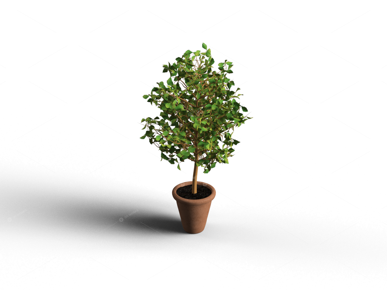 Greenery 3D Models