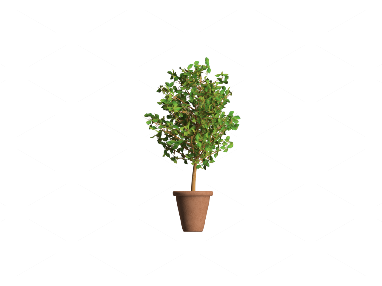 Greenery 3D Models 2