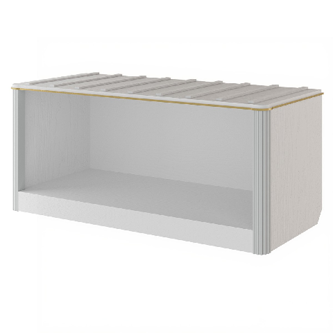 Modern Shoe Cabinet