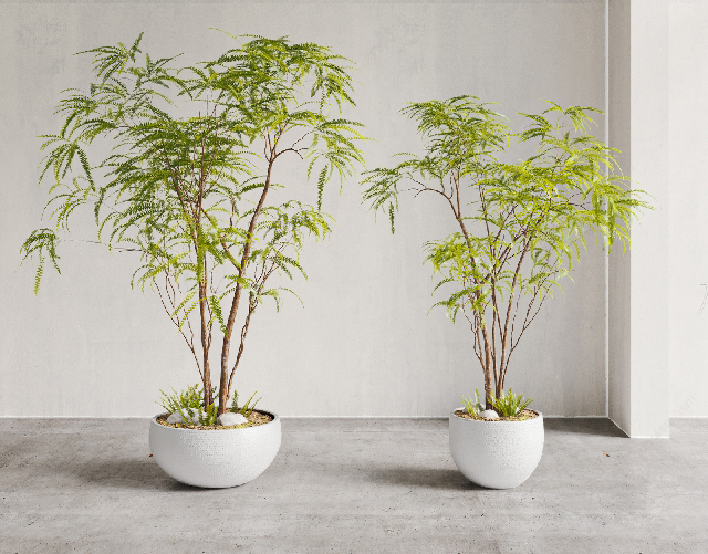 Modern Potted Plant