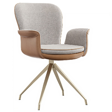 Modern Study Chair